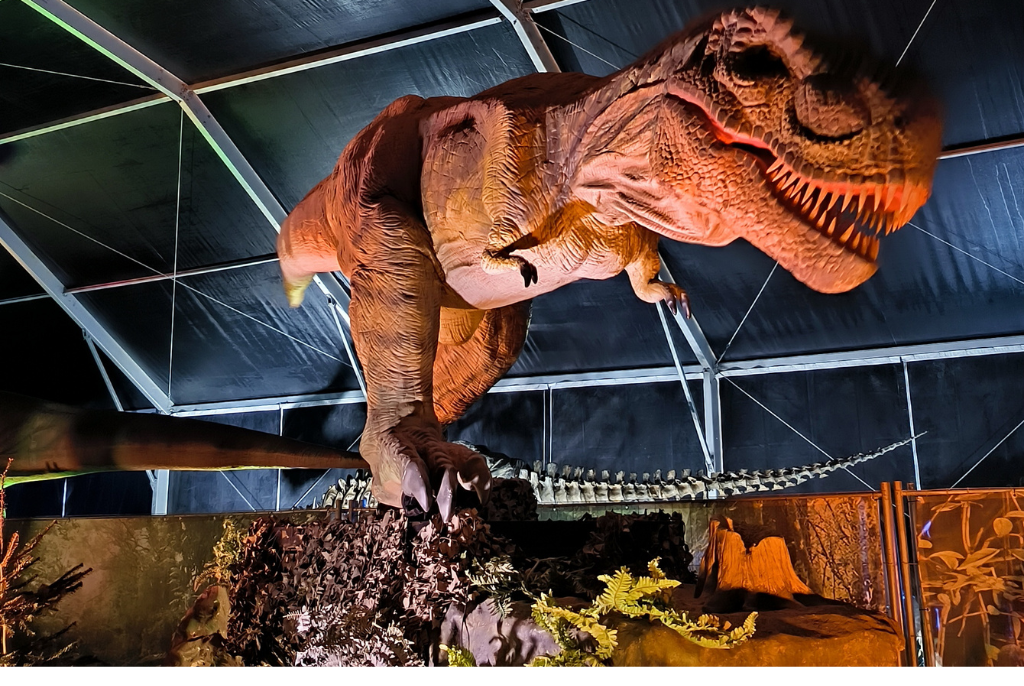 Dino Expo XXL