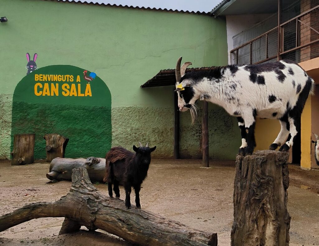Granja Can Sala Montornés